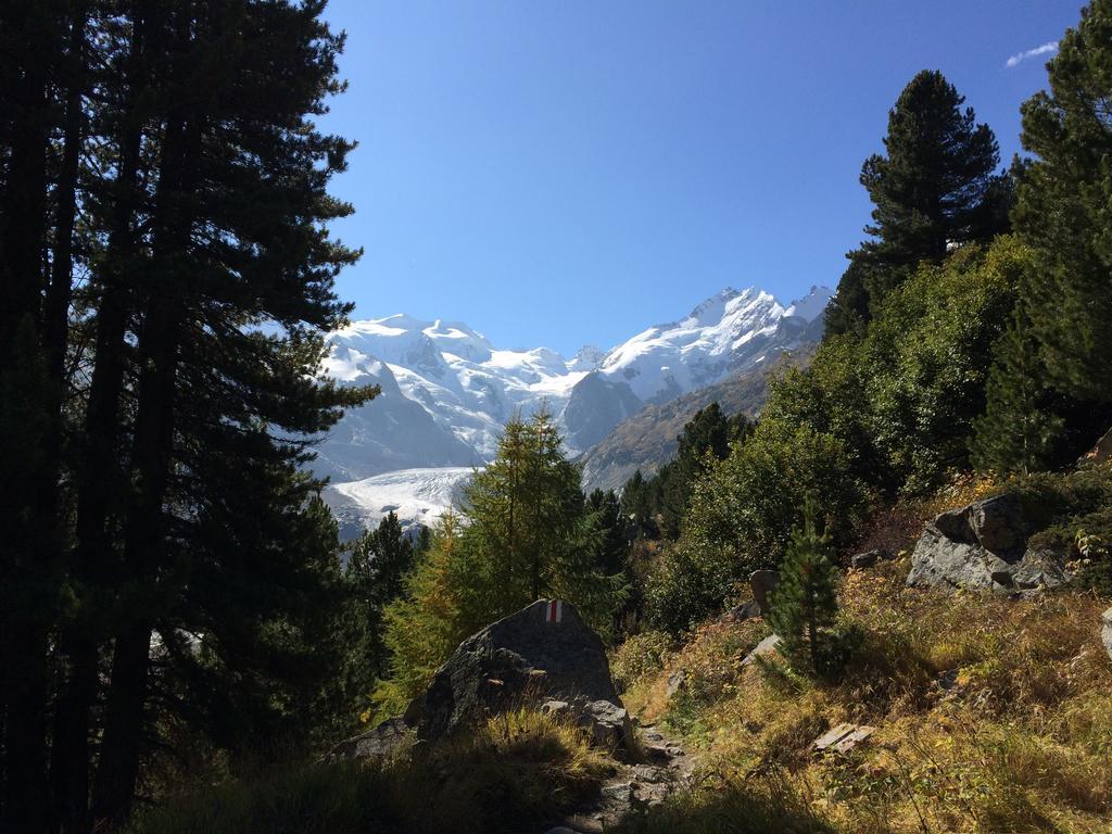 Hotel Bernina Pontresina Zewnętrze zdjęcie
